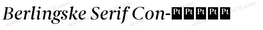Berlingske Serif Con字体转换